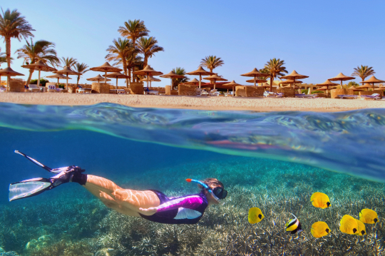 Taucherin unter Wasser, gelbe Fische, Blick über die Wasseroberkante
